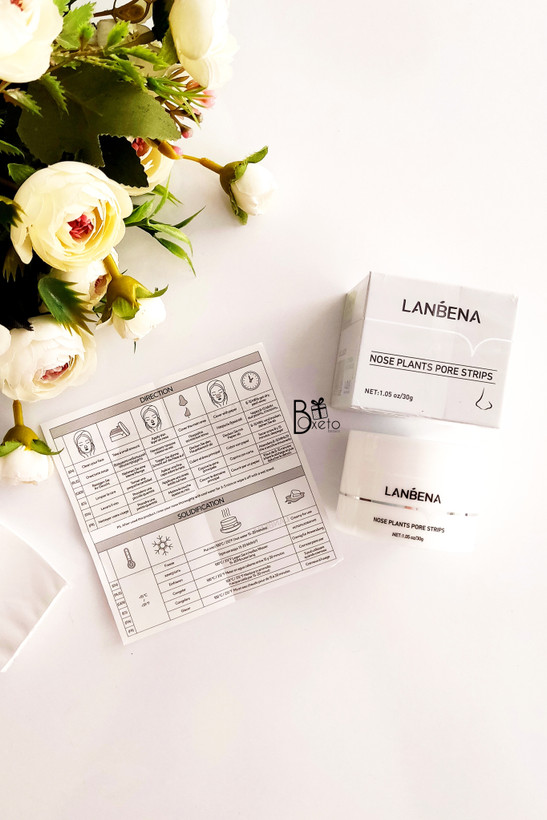 ماسک بینی لانبنا