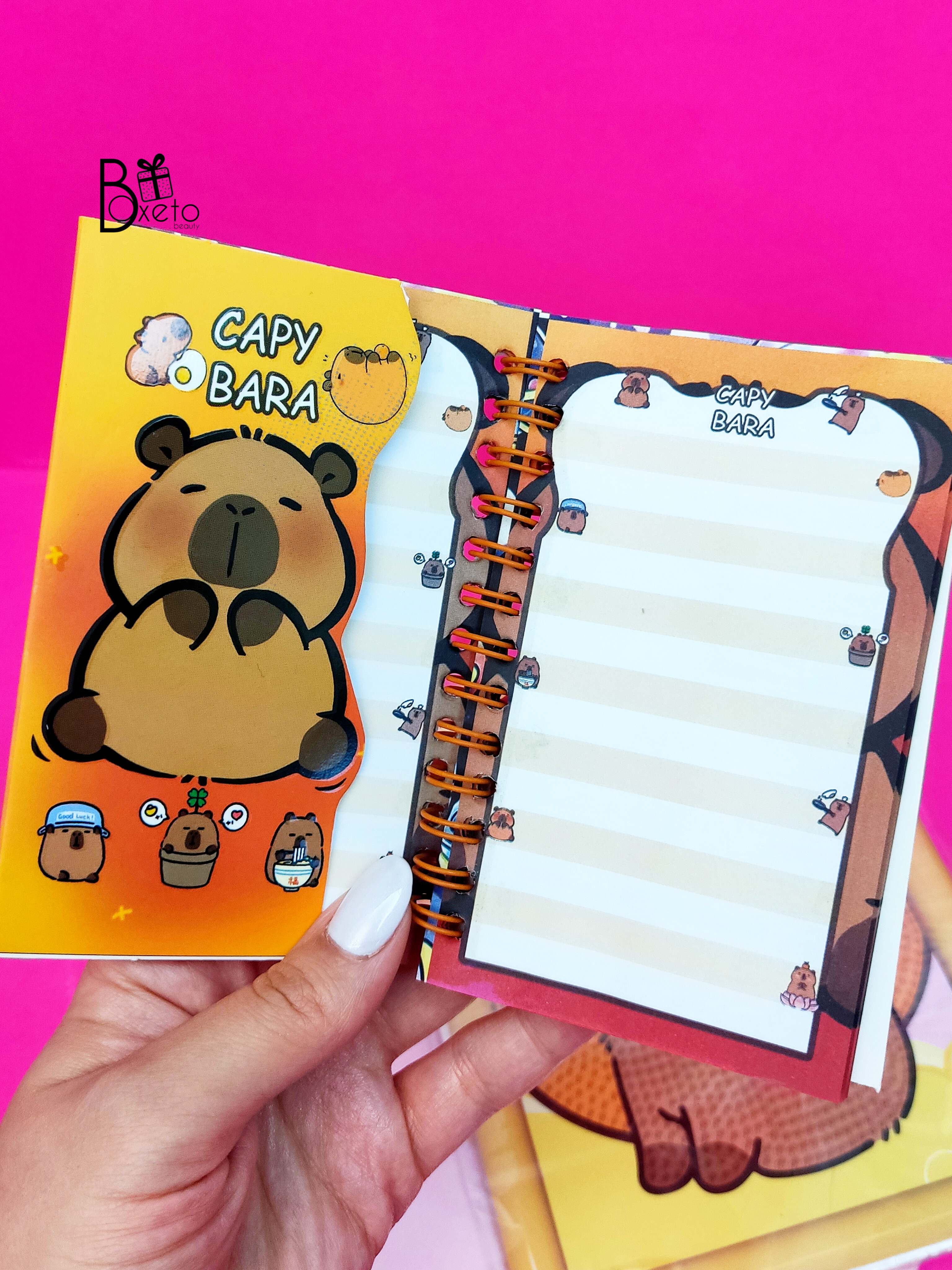 دفترچه فانتزی کاپی بارا