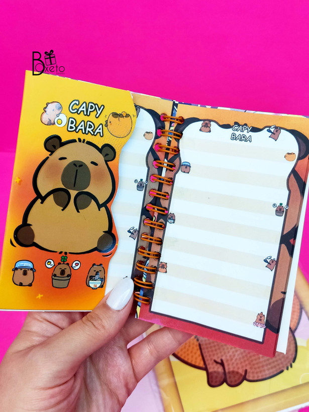 دفترچه فانتزی کاپی بارا